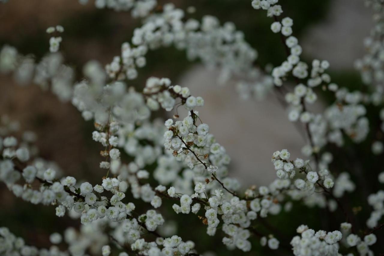 Apiflore Garéoult Exteriér fotografie